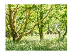 067 Suffolk Day 3  Hickling Broad