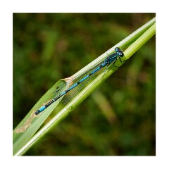 073 Suffolk Day 3  Hickling Broad