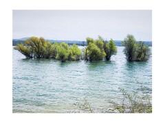 001 Folsom Area  Folsom Lake