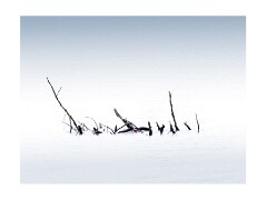 002 Folsom Area  Folsom Lake