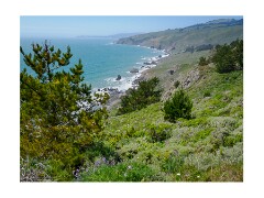 009 San Francisco  Golden Gate Bridge