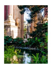 016 San Francisco  Palace of Fine Arts