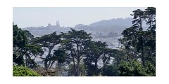025 San Francisco  View of San Francisco from  Legion of Honor Museum