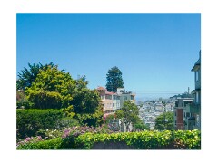 042 San Francisco  Lombard Street
