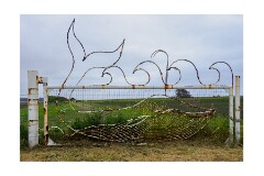 056 San Francisco  Fancy Gate