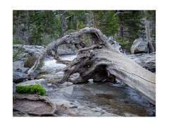 250526 California  1039840  Eagle Falls