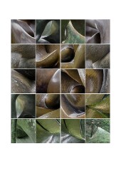 016 Henry Moore Studio and Gardens  Beautiful Curves and Lines