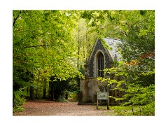 Brandon Country Park
