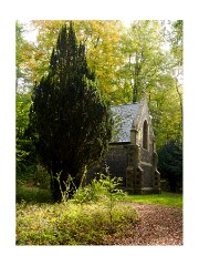 005 Brandon Country Park