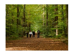 010 Brandon Country Park