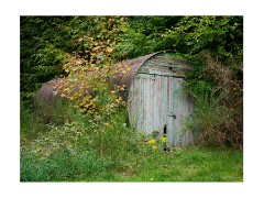 016 Brandon Country Park