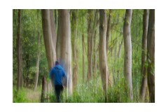 007 Woodbridge Area  Levington