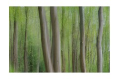 008 Woodbridge Area  Levington