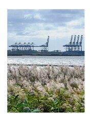 010 Woodbridge Area  Levington