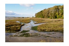 012 Woodbridge Area  Levington