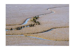 013 Woodbridge Area  Levington