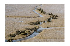 014 Woodbridge Area  Levington