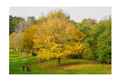 022 Woodbridge Area  Ufford Park Resort