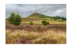 003 Yorkshire  Hawnby Moor