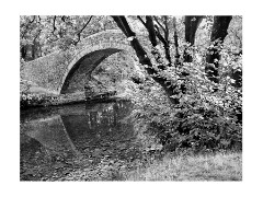 015 Yorkshire  Ivelet Horsepack Bridge