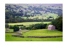 020 Yorkshire  Swaledale