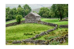 026 Yorkshire  Swaledale