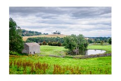 037 Yorkshire  Wensleydale