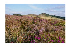 045 Yorkshire  Hawnby Moor