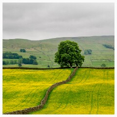 021 Yorkshire  Hawes