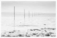 011 Northumberland  The Crossing to Lindisfarne