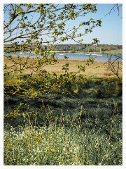 015 Pin Mill Suffolk