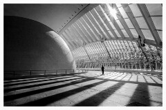 004 Valencia  Inside the Hemisferic