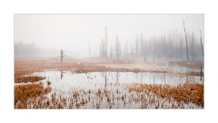 ARPS printed panel  Yellowstone USA