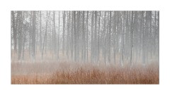 ARPS printed panel  Yellowstone USA