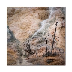 ARPS printed panel  Yellowstone USA